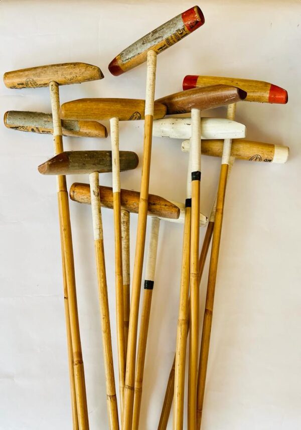 WhatsApp Image 2024-02-19 at 13.07.56