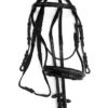 Complete gag bridle fancy 1