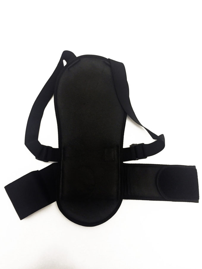 HORSES Proector de espalda interior