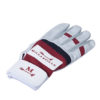 Right Hand Polo Glove Millarville