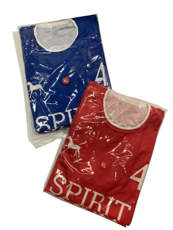 Spirit of Polo Pecheras 8