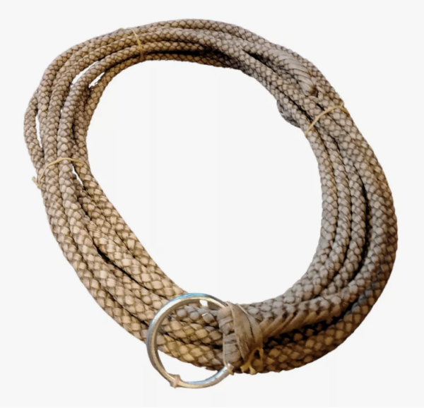 Captura de pantalla 2024-12-30 a las 18.39.45